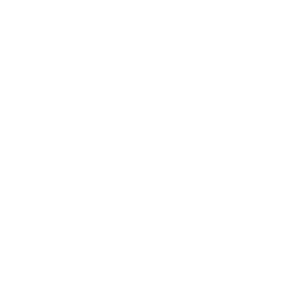 Oya Creatief haarlem illustratie icon vogel