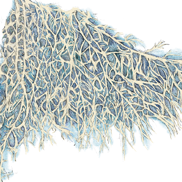 Oya Creatief haarlem illustratie van mycelium voor Rauw Hart