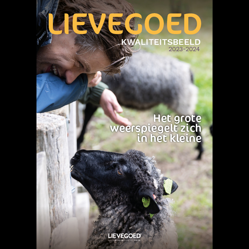Oya Creatief Haarlem ontwerp webdesign illustratie branding Lievegoed