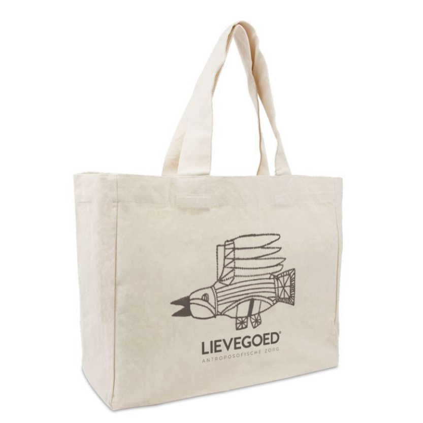 Oya Creatief Haarlem ontwerp webdesign illustratie branding Lievegoed